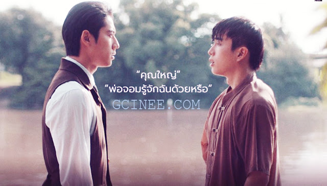 Youku TV Online Streaming: Where Every Click is a Ticket to Thrills