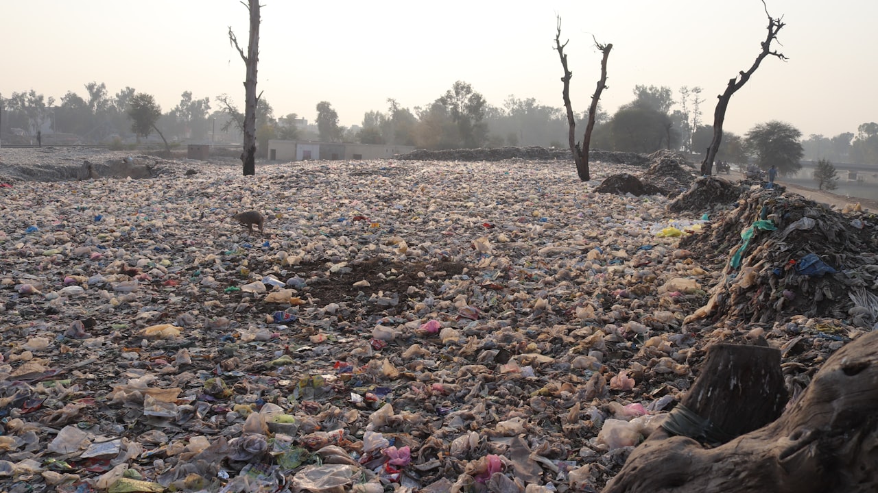 Tips for Making Cheap Plastic Chairs More Comfortable